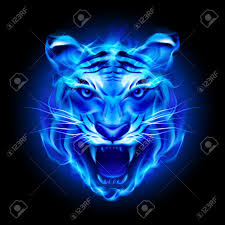 Head Of Fire Tiger In Blue Illustration On Black Background Illustration Sponsored Tiger Fire Head Blue B Binatang Buas Fotografi Hewan Binatang