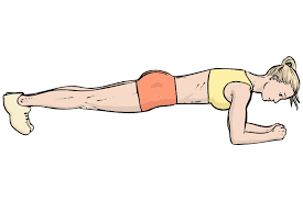 Planks - Basketball Workout Plans