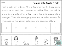 Free Human Life Cycle Sequencing Story Includes Boy And Girl Versions Human Life Cycle Life Cycles Kindergarten Life Cycles