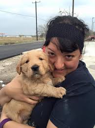 Got my golden puppy today he's 8 weeks!!! What should I name him ? Any  suggestions