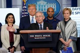 White house coronavirus advisor dr. Thank You Dr Anthony Fauci Letters South Florida Sun Sentinel