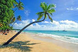 You will find here the best travel deals and vacation packages to martinique. Martinique Perle Der Karibik Geo