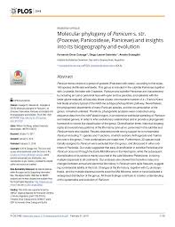 Image result for Panicum subflabellatum