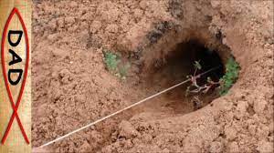 Then you need to do something about it, like reading this article which will tell you how to get rid of pocket gophers. Gopher Fishing In Backyard Best Way To Get Rid Of Gophers Youtube