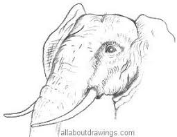 Wildlife Drawings To Copy Animal Drawings Pencil Drawings Elephant Drawing