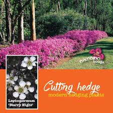 These trees are naturally symmetrical and are best left to develop. Modern Fast Growing Plants For Hedges And Screening About The Garden Magazine