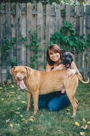 Here are some puppy pictures from past litters. Happy Tails Ava And Hercules The Pit Bulls Daily Dog Tag