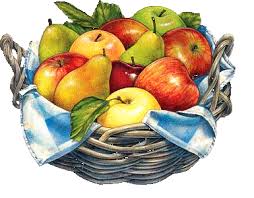 Temps Saisons Meteo L Art Du Fruit Dessin Fruits Panier De Fruits