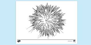 They can be found in all of the oceans worldwide. Free Black Sea Urchin Colouring Colouring Sheets