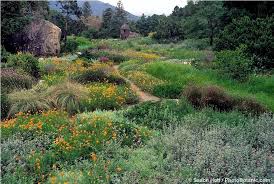Visiting Santa Barbara Botanic Garden For Different Reasons