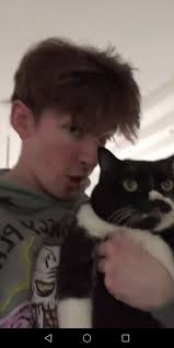 Albert And Kimmy 3 Flamingo Pictures Flamingo Photo Funny Flamingo