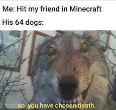 Thx Mates Tor My 1 St Year On Reddit Thorgift Com Really Funny Memes Crazy Funny Memes Funny Relatable Memes