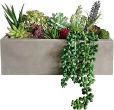 Boost the lifelike appearance of modern artificial plants. Amazon Com Greenboxx Mixed Artificial Succulent Planter Faux Succulents Pre Made Cement Box Perfect For Weddings Home Table Centrepiece Window Display And Home Decor 16 Pcs Kitchen Dining
