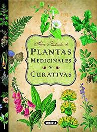 El libro de las hierbas pdf. Descargar Pdf Plantas Medicinales Y Curativas Gratis Equipo Susaeta
