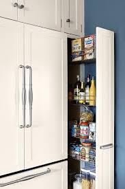 A Kitchen With Lots More Function And Charm Pantry Cabinet Kitchen Pantry Cabinets Kitchen Remodel