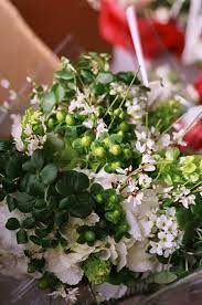 Instead, you will find having a delicately wrapped bundle of vines and other greenery is a better replacement for a more natural composition in your wedding day bouquet. Bride S Bouquet White Ginestra Shamrocks Green Hypericum Berries White Hydrangea Bride Bouquets White Irish Wedding Traditions Irish Wedding Inspiration