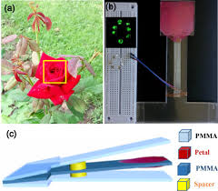 We did not find results for: Triboelectrification On Natural Rose Petal For Harvesting Environmental Mechanical Energy Sciencedirect