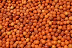 Image result for Ziziphus mauritiana