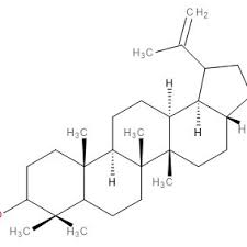 В суточной дозе (1 капсула.) содержится: Pdf Multicentric Unilateral Invasive Ductal And Lobular Breast Carcinoma A Case Report And Review Of Literature