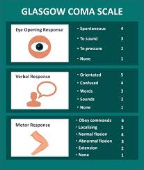 Image result for Coma Exam