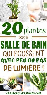Maybe you would like to learn more about one of these? 20 Plantes Parfaites Pour Salle De Bain Qui Poussent Avec Peu Pas De Lumiere Il Existe De Nombreuses Bonnes Rai Bathroom Plants Plants Modern White Bathroom