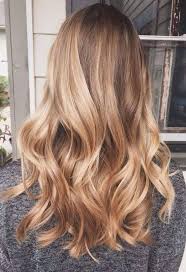 Black hair with blonde highlights. 25 Honey Blonde Haircolor Ideas That Are Simply Gorgeous