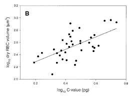 The small differences in genome size within species seem generally to be of minor importance compared to other components of plant fitness. Gecko Genome Size And Cell Size Science 2 0
