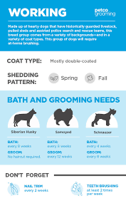 Feb 05, 2021 · dogs with medium to longer fur coats may require baths as often as every other week up to every four to six weeks. How Often Do I Wash My Dog Advice For Pet Parents Petco