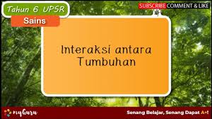 Download lagu antara hitam putih 2.17mb dan streaming kumpulan lagu antara hitam putih 2.17mb mp3 terbaru di metrolagu dan nikmati, video hasil diatas adalah hasil pencarian dari anda antara hitam putih mp3 dan menurut kami yang paling cocok adalah antara hitam putih. Chang Tun Kuet Unit 4 Interaksi Antara Hidupan