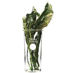 Tuscan Kale Chips Bon Appetit Kale Chips Kale Chip Recipes Tuscan Kale Chips Recipe