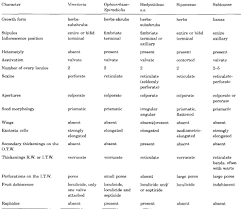 Image result for Virectaria major