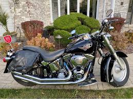 Image result for Bright Wineberry 1993 FLSTF