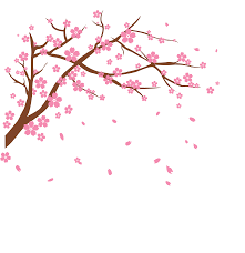 Cherry Tree Branch Picture Royalty Free Download Hoa Anh đao Hoa Họa Tiết