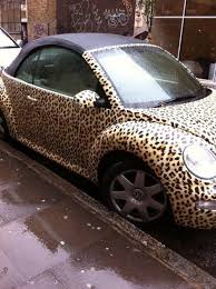 Animal Print Car Cute Cars Leopard Dream Cars