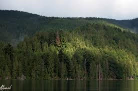 Adauga la favorite, vremea valea draganului. Cu Barca Pe Valea Draganului Lili