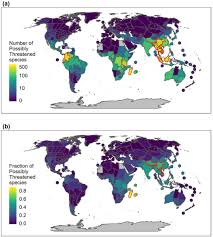 Image result for Tridactyle stevartiana