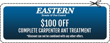 Termite control in princeton, in. Pest Service Coupons Monmouth County Eastern Termite Pest Control