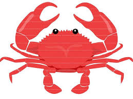 Check spelling or type a new query. 19 Crab Fest Ideas Nautical Themed Party Crab Nautical Baby Shower