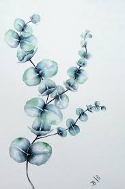 Aquarell Eukalyptus Aquarell Blumen Aquarell Blumen Zeichnen