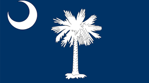 Free shipping on orders over $25 shipped by amazon. The History And Mystery Behind The South Carolina State Flag Chstoday