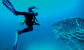 Professional association of diving instructors. Scuba Diving For Kids Kids Time Out Dubai