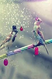 Love Birds Iphone Wallpaper Mobile Wallpaper Birds Wallpaper Hd Love Wallpaper Backgrounds Love Birds