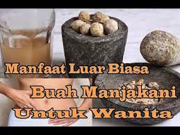 Untuk mendapatkan khasiat jahe untuk mengatasi sakit tenggorokan, rebuslah sepotong 1 inci jahe atau beberapa iris secukupnya, kemudian tambahkan madu dan / atau lemon. Pengobatan Dan Khasiat Herbal Khasiat Manjakani Untuk Wanita
