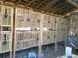Serta memanfaatkan barang bekas di sekitar kita. Tips Membuat Kandang Ayam Joper Yang Baik Dan Benar