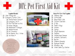 Check out our backpacking first aid kit checklist. Diy Pet First Aid Kit Irresistible Pets