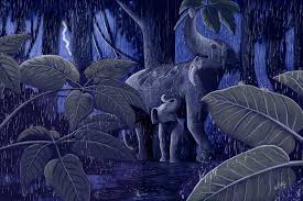 Image result for Astropanax abyssinicus