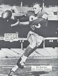 Image Gallery Of Del Shofner Nfl Past Players