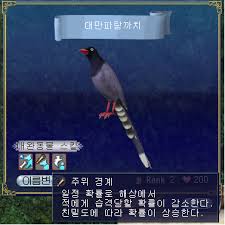 대만파랑까치-군위/고감을 대체할 수 있을까? | 대항해 인벤