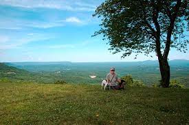 Check spelling or type a new query. Arkansas Grand Canyon Bild Von Arkansas Grand Canyon Jasper Tripadvisor