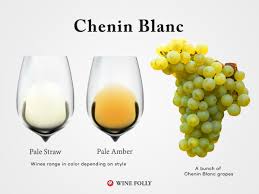 The Chenin Blanc Wine Guide Wine Folly